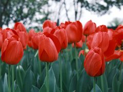 -玄武湖景区-情侣园游乐场