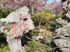 -杭州植物园