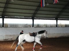 -月河湾马术俱乐部(朝阳店)