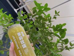 -gaga(深圳南山益田假日广场店)