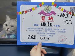 -特一安24小时宠物医院·骨科·中兽医