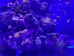 -成都浩海立方海洋公园
