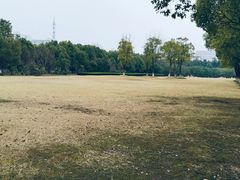 -华东政法大学(松江校区)