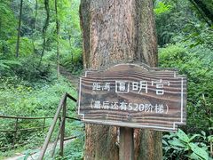 -青城山