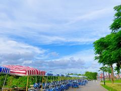-芒洲湿地公园