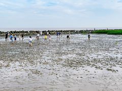 -南汇嘴观海公园