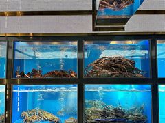-黑木原精致料理·铁板烧