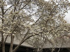 -北京宽沟会议中心