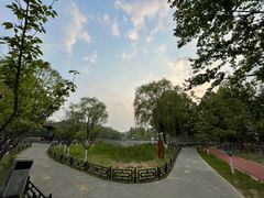 -大兴滨河森林公园