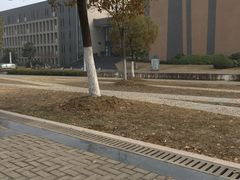 -安徽大学(磬苑校区)