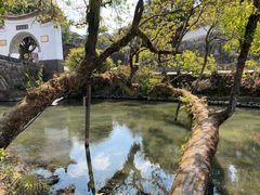 -和顺古镇