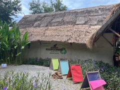 -大象粑粑造纸公园