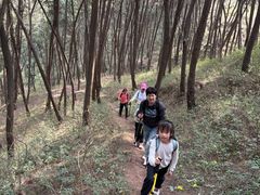 -金堂县云顶石城风景区