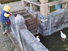 -苏州文庙(姑苏区)