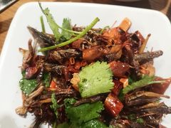 -云中鱼蒸汽石锅鱼(川沙百联店)