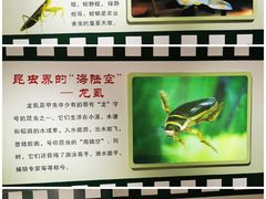 -上海昆虫博物馆