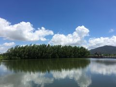 -芒洲湿地公园