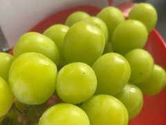 -马陆小张葡萄园农家乐