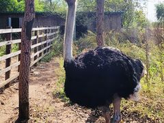 -沈阳鸟岛