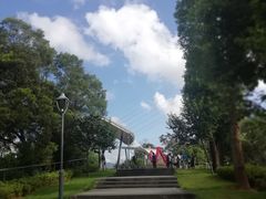 -金鸡山公园