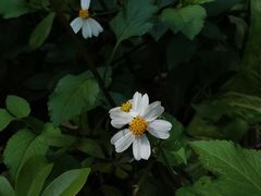 -绿雅居原生态农庄(小涌店)