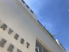 -收获咖啡HARVEST RESERVE(苍山店)