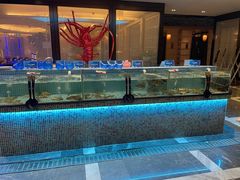 水产区-小天鹅戴斯酒店鲸鲨百汇创作料理