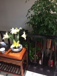 -苑苑发型设计