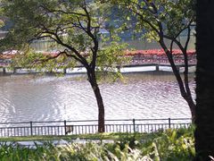 -深圳龙潭公园