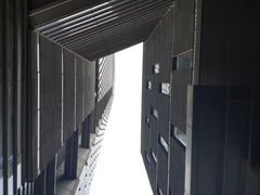 -紫峰大厦