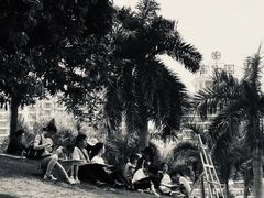 -南宁南湖公园