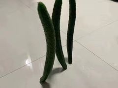 -MAKY米旗(紫薇田园店)