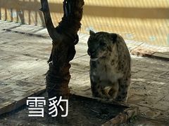 -青藏高原野生动物园