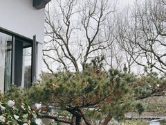 -山外山菜馆(玉泉路店)