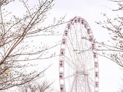 -顾村公园3号门停车场