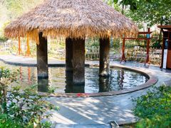 -中铁花水湾温泉酒店(大邑店)