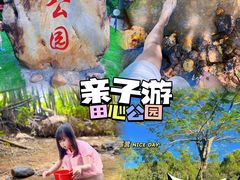 -田心森林公园