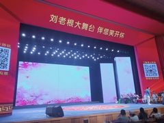 -刘老根大舞台-长春旗舰店