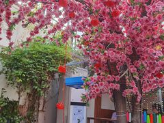 -丽江庭院之爱在路上(西单店)