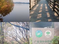 -华侨城湿地公园