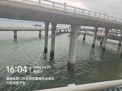 -演武大桥观景平台
