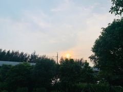 -宝安西湾红树林湿地公园