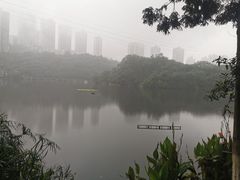 -重庆彩云湖湿地公园