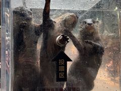 -波塞冬旅游度假区