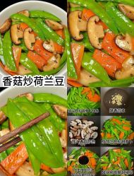 -Fundi张玉珊修身堂·indiba·BTL科技瘦身