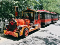 -北京市海淀外国语实验学校