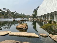 -罗红摄影艺术馆