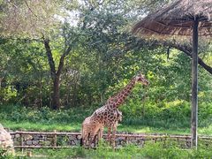 -北京野生动物园