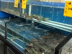水产区-渔民船说·北塘海鲜·天津菜·海肠捞饭(北塘古镇店)