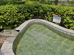 -河北霸州茗汤日月潭温泉